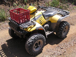 ATV Quad Buggy